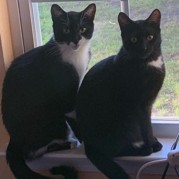 Live now! CCTreasureChest $3 Starts Like to be notified. Clothes, Jewelry Plus! - Picture 9 of 12